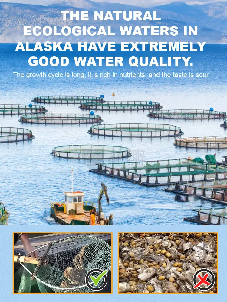 Alaskan Snow Crab Ready-to-EatCrispy Crab